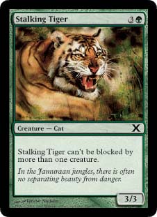 Stalking Tiger/Eъ-C10E[510614]