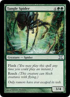 Tangle Spider/ݐX̒w-U10E[510566]