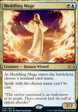 Meddling Mage/|M閂m-R2XM[]