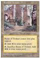 456/yn Ruins of Trokair/gEPA̔p-Uy [4561426]