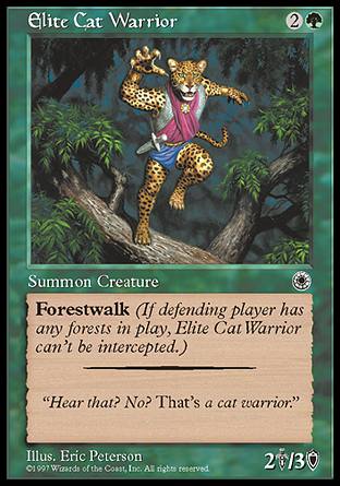 L̐sm/Elite Cat Warrior-CPO[700356]