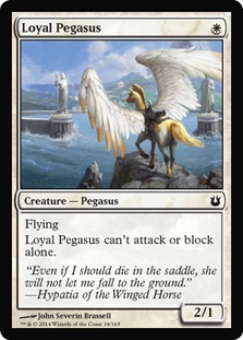 Loyal Pegasus/ȃyKTX-CBNG[77048]