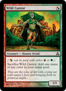 Wild Cantor/쐶̘Nr-CGPn[4400296]
