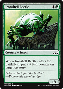 Ironshell Beetle/|̍b-CGRN[1090278]