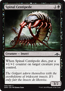 Spinal Centipede/wJf-CGRN[1090174]