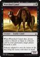 jł̍/ Wretched Camel/sȃN_-CHOU [98162]