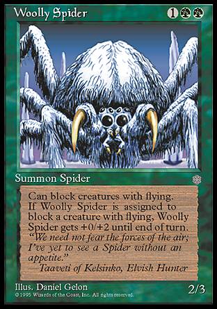 Woolly Spider/(ђw)-CIA[800558]