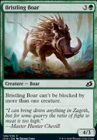 Bristling Boar/tт̒-CIKO[119318]