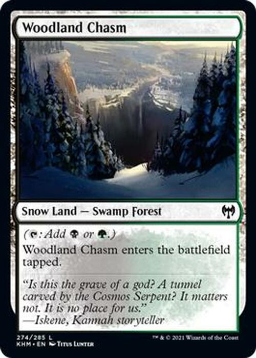 Woodland Chasm/Xт̒n-CKHMy[1230608]