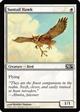 Magic2014/R Suntail Hawk/z̑-CM14 [75080]