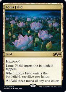 Lotus Field/@̌-RM20y[114484]