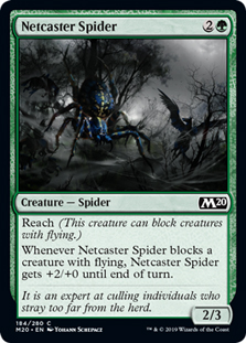 Netcaster Spider/ԓw-CM20[114394]