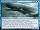 {Zbg2021/ Pursued Whale/ǂ~-RM21 [1200102]