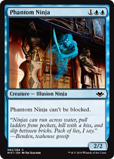 Phantom Ninja/e̔E-CMH1[1120567]