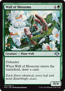 Wall of Blossoms/Ԃ̕-UMH1[1120672]
