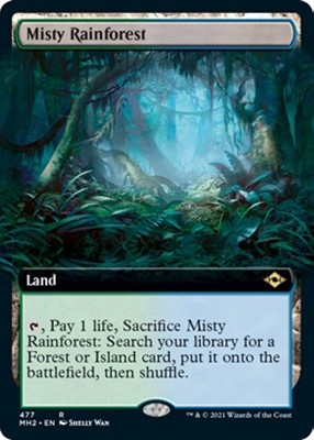 Misty Rainforest (Extended Art)/[J-RMH2y[1270332]