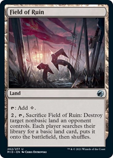 Field of Ruin/pЂ̒n-UMIDy[1290530]