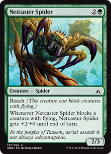 Netcaster Spider/ԓw-COGW[88280]