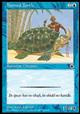 |[^1&2/P1 pCT/Horned Turtle-CPO [700132]
