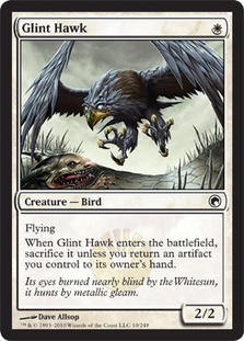 Glint Hawk/߂-CSOM[640036]