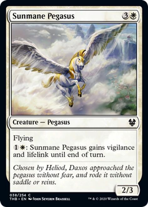 Sunmane Pegasus/zẴ݂yKTX-CTHB[116076]