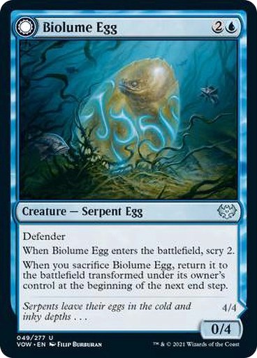 Biolume Egg/̗-UVOW[1300116]