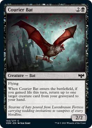 Courier Bat/RE̋}g-CVOW[1300246]
