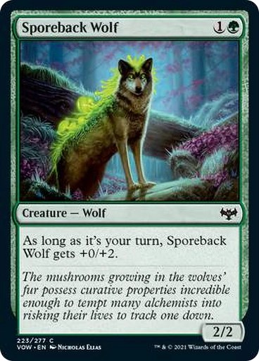 Sporeback Wolf/Eqw̘T-CVOW[1300448]