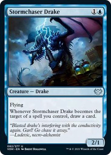 Stormchaser Drake/ǂ̃hCN-UVOW[1300134]
