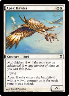 Apex Hawks/V̑-CWW[610026]