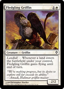 Fledgling Griffin/OtB-CWW[610030]